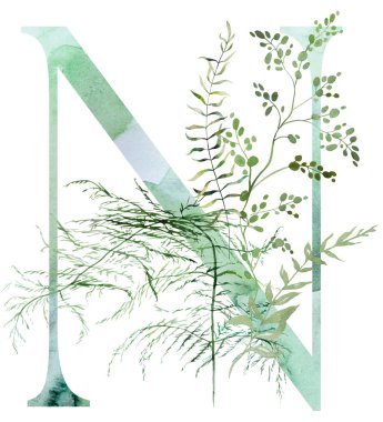 Green letter N with Watercolor fragile stems and tiny leaves, asparagus, ferns, and grasses, whimsical tender isolated illustration. Elegant Alphabet element for ethereal romantic wedding stationery clipart