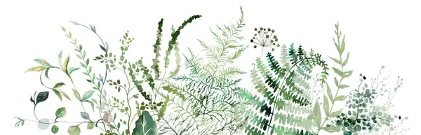 Bordüre Aus Aquarell Farnzweigen Mit Grünen Blättern Isolierte Illustration Romantisches — Stockfoto