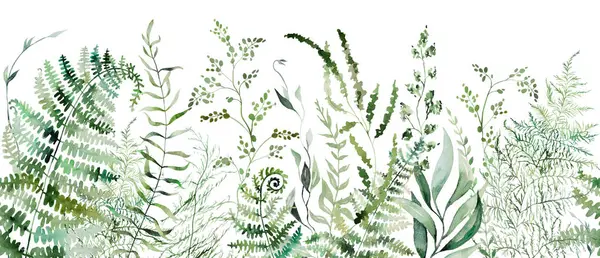 Płynna Granica Akwarelowymi Gałązkami Paproci Zielonymi Liśćmi Odosobniona Ilustracja Romantyczny Zdjęcie Stockowe
