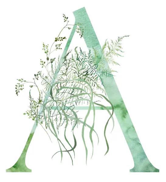 Green Letter Watercolor Fragile Stems Tiny Leaves Asparagus Ferns Grasses Stock Image