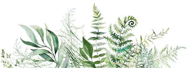 緑の葉が付いている水彩色のフェルンツイッグで作られる境界は 単離されたイラストを示します ウッドランドまたは夏の結婚式の文房具 イベント招待のためのロマンチックな植物要素 ストック写真