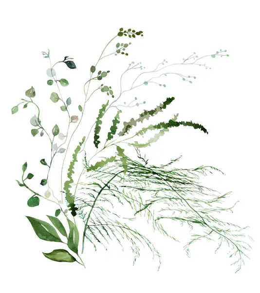 Bouquet Made Watercolor Fragile Stems Tiny Leaves Asparagus Ferns Grasses Stock Photo