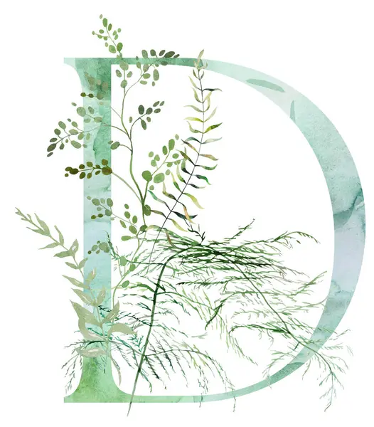 Green Letter Watercolor Fragile Stems Tiny Leaves Asparagus Ferns Grasses รูปภาพสต็อก