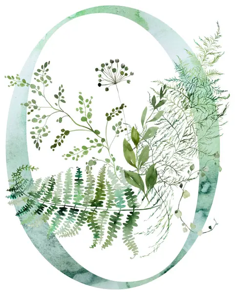 Green Number Watercolor Fragile Stems Tiny Leaves Asparagus Ferns Grasses ภาพสต็อก