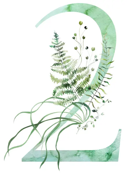 Green Number Watercolor Fragile Stems Tiny Leaves Asparagus Ferns Grasses ภาพถ่ายสต็อกที่ปลอดค่าลิขสิทธิ์