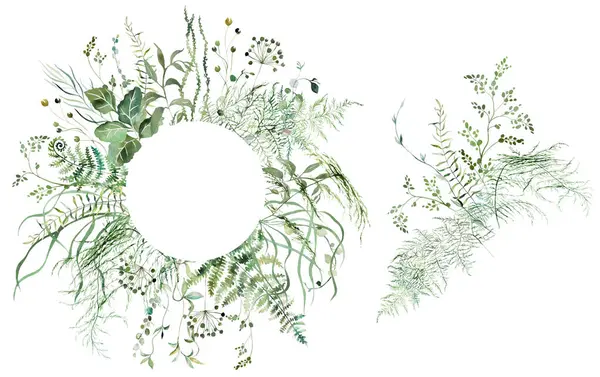 用水色脆弱的茎和细小的叶子 蕨类和草类制成的框架和花束 别具匠心的柔软的孤立的插图 温馨浪漫的夏季婚礼文具元素 图库图片