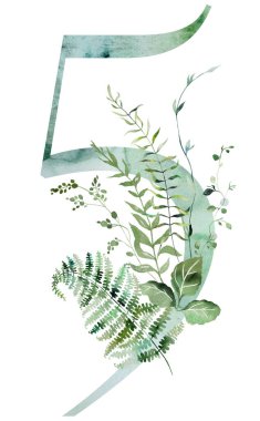 Kırılgan suluboya sapları ve ince yaprakları olan yeşil 5 numara, kuşkonmaz, eğreltiotu ve otlar, tuhaf, hassas izole bir illüstrasyon. Ruhsal romantik düğün kırtasiyesi için zarif bir unsur.