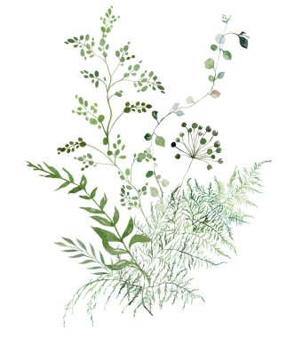 Kırılgan suyla boyanmış buket yapraklar, küçük yapraklar, kuşkonmaz, eğrelti otu ve otlardan yapılmış. Tuhaf, hassas, izole bir illüstrasyon. Manevi romantik yaz düğün kırtasiyesi düzenlemesi