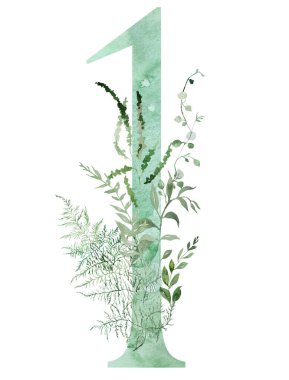 Kırılgan suluboya sapları ve ince yaprakları olan yeşil bir numara, kuşkonmaz, eğrelti otu ve otlar, tuhaf, hassas izole bir illüstrasyon. Ruhsal romantik düğün kırtasiyesi için zarif bir unsur.