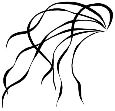 El çizimi çimen yaprakları, siyah çizgiler, izole çizimler. Yaz düğün kırtasiyesi ve tebrik kartları için bahçe yeşilliği unsuru, web sitesi tasarımı