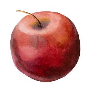 Kırmızı sulu elma. Suluboya doğal besin örneklerini izole etti. Sağlıklı yemek.