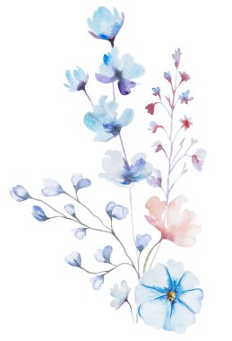 Suluboya pastel renkte, kır çiçekleri, saplar ve küçük yapraklardan yapılmış bir buket, izole bir resim. Açık pembe, mor ve çiçekli düğün kırtasiyesi ve tebrik kartları için.