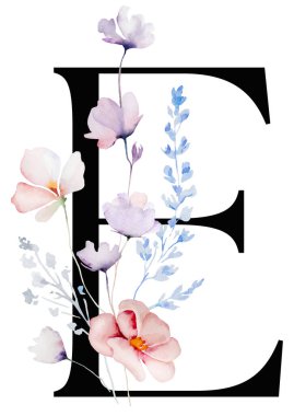 Siyah E harfi, suluboya, yumuşak, yabani çiçekler, saplar ve ince yapraklar, izole bir illüstrasyon. Açık pembe, mavi ve lavantalı alfabe ögesi romantik düğün kırtasiyesi için.