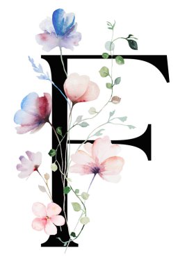 Suluboya pastel yumuşak çiçekleri, sapları ve ince yaprakları olan siyah F harfi, izole bir illüstrasyon. Açık pembe, mavi ve lavantalı alfabe ögesi romantik düğün kırtasiyesi için.