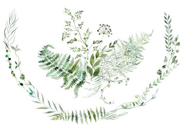 Yeşil yapraklı suluboya eğreltiotu dallarından yapılmış yuvarlak çelenk ve buket, izole bir illüstrasyon. Ormanlık ya da yaz düğün kırtasiyesi için romantik botanik unsur, etkinlik daveti