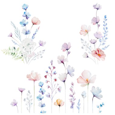 Çiçekler ve suluboya ile yapılmış sınırlar. Kırılgan kır çiçekleri, saplar ve ince yapraklar, izole çizimler. Açık pembe, mavi ve mor çiçekli düğün kırtasiyesi.