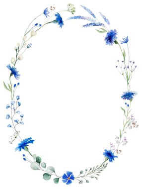 Mavi çiçekli suluboya çerçeve ve küçük yapraklı kır çiçekleri, izole çizimler. İlahi romantik yaz tatili kırtasiyesi ve selamlama için çiçek unsuru.