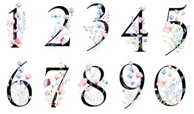 Suluboya pastel yumuşak çiçekli siyah sayılar, yabani çiçekler, saplar ve küçük yapraklar, izole bir illüstrasyon. Açık pembe, mavi ve lavantalı alfabe ögesi romantik düğün kırtasiyesi için.