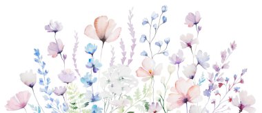 Kırılgan kır çiçekleri, saplar ve ince yapraklarla sulu boya ile yapılmış sınır, izole bir illüstrasyon. Açık pembe, mor ve çiçekli düğün kırtasiyesi ve tebrik kartları için.