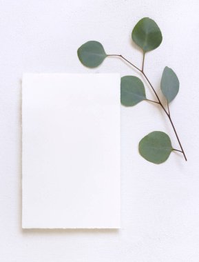 Yeşil okaliptüs dalları yakınındaki beyaz bir masanın üzerindeki kart üst görüntüyü terk ediyor, Mockup. Minimum romantik daire ve boş dikey kart. Düğün ve parti kırtasiyesi