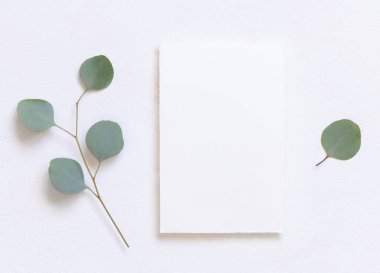 Yeşil okaliptüs dalları yakınındaki beyaz bir masanın üzerindeki kart üst görüntüyü terk ediyor, Mockup. Minimum romantik daire ve boş yatay kart. Düğün ve parti kırtasiyesi