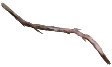  Suluboya kahverengiye boyanmış ağaç dalı, Rustik ya da Boho düğünü izole edilmiş