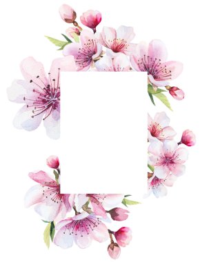 Dikey çerçeve, açık pembe kiraz çiçekleri, tomurcuklar ve izole resimlerle dolu. Japon baharı bahçe kırtasiyesi ve parti tasarımı için sakura çiçeği.
