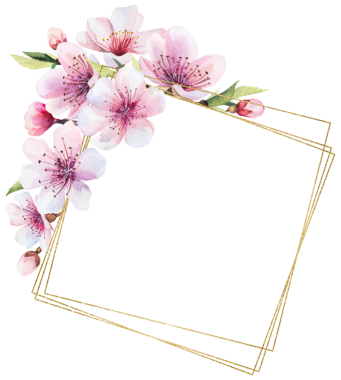 Suluboya pembe kiraz çiçekleri ve yeşil yapraklı çerçeve, sakura izole edilmiş düğün resmi.