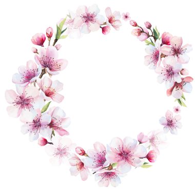 Suluboya açık pembe kiraz çiçekleri, tomurcuklar ve izole resimlerle dolu yuvarlak çerçeve. Japon baharı bahçe kırtasiyesi ve parti tasarımı için sakura çiçeği.