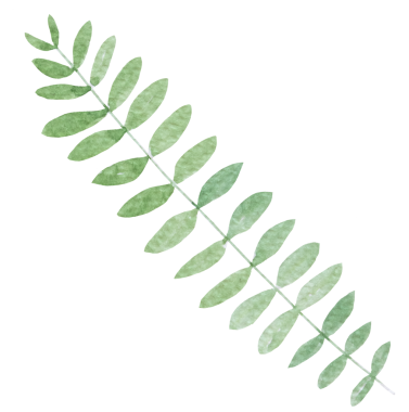 Yeşil yapraklı suluboya dal. Münferit illüstrasyon, botanik düğün unsuru.