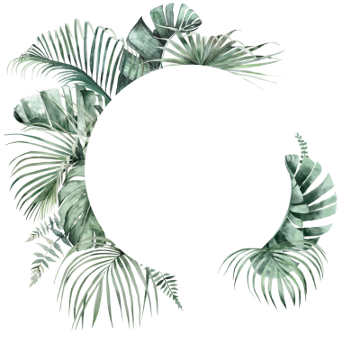 Yeşil suluboya palmiye, canavar ve muz yapraklı çerçeve, tropikal düğün izole illüstrasyonları