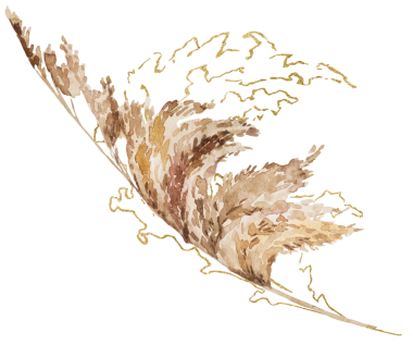 Suluboya ve altın rengi kurutulmuş otlar, biege tropikal düğün unsuru, yaz Bohem illüstrasyonu