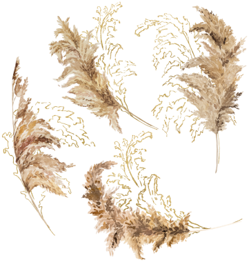 Suluboya ve altın rengi kurutulmuş otlar, biege tropikal düğün unsuru, yaz Bohem illüstrasyonu