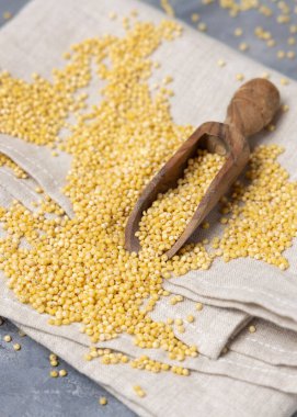 Çiğ sarı darı tohumu, gri masa manzaralı ahşap bir kepçe içinde, boşluğu kopyala. Eski psödocereal tohumlar. Organik süper yiyecekler. Sağlıklı gıda konsepti. Glütensiz alternatif tohumlar