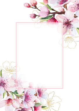 Suluboya pembe kiraz çiçekleri ve yeşil yapraklı çerçeve, sakura izole edilmiş düğün resmi.