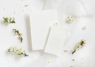 Tül ve yabani eriklerin yanındaki boş kartlar beyaz çiçeklerin üst görüntüsü, maket. Bahar partisi tasarımı ya da romantik düğün kırtasiyesi için Pastel dikey kartları. Doğaya yakın ya da anneler günü konsepti  
