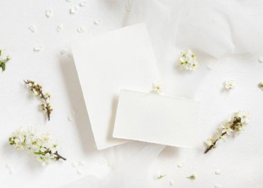 Tül ve yabani eriklerin yanındaki boş kartlar beyaz çiçeklerin üst görüntüsü, maket. Bahar partisi tasarımı ya da romantik düğün kırtasiyesi için pastel kartlar. Doğaya yakın ya da anneler günü konsepti  