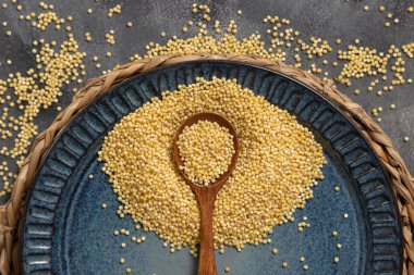 Mavi tabak çiğ sarı darı tahılı ve tahta kaşıkla gri masa manzaralı. Organik inci kabuklu darı. Eski, sağlıklı süper yiyecekler. Glütensiz alternatif tohumlar