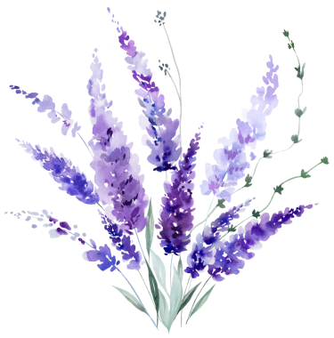 El boyasıyla boyanmış suluboya açık mor lavanta çiçekleri ve yapraklardan yapılmış bir buket. Romantik, izole bir illüstrasyon. Bahar ve yaz için küçük kır çiçekleri ve parti tasarımı.