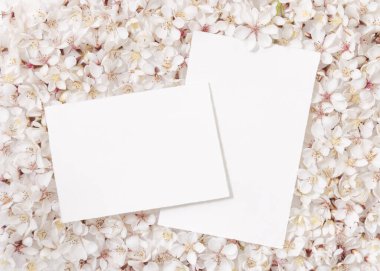 Beyaz kiraz çiçeklerinin üstündeki boş kağıt kartlar üst görünüm, kopyalama alanı, maket. Bahar romantik düğün kırtasiyesi ya da parti tasarımı için Pastel yatay ve dikey kartlar doğaya yakın.
