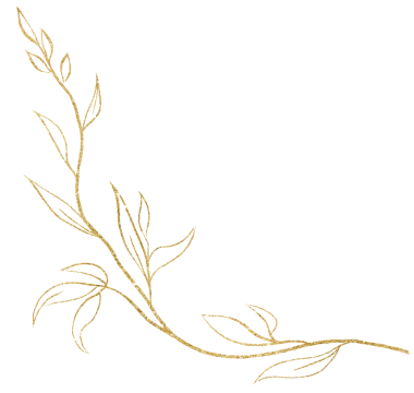 Yapraklı el çizimi dal, altın çizgiler, izole bir illüstrasyon. Yaz düğün kırtasiyesi ve tebrik kartları için bahçe yeşilliği unsuru, web sitesi tasarımı