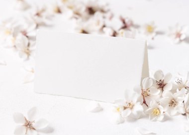 Beyaz kiraz çiçeklerinin yanında katlanmış boş kağıt kart yakın plan, kopyalama alanı, maket. Bahar romantik düğün kırtasiyesi ya da parti tasarımı için Pastel yatay kart, doğaya yakın