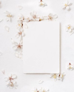 Beyaz kiraz çiçeklerinin yanındaki boş kağıt kart üst görünüm, kopyalama alanı, maket. Bahar romantik düğün kırtasiyesi ya da parti tasarımı için Pastel dikey kart, doğaya yakın.