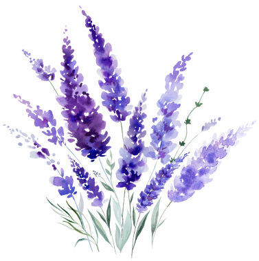 El boyasıyla boyanmış suluboya açık mor lavanta çiçekleri ve yapraklardan yapılmış bir buket. Romantik, izole bir illüstrasyon. Bahar ve yaz için küçük kır çiçekleri ve parti tasarımı.