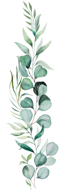 Yeşil suluboya okaliptüs yapraklı dikey buket, izole bir illüstrasyon. Pastel için küçük bir unsur romantik düğün veya sevgililer günü kırtasiyesi ve parti tasarımı