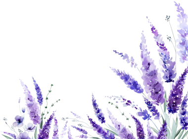 El boyalı suluboya açık mor lavanta çiçeklerinden yapılmış sınır ve izole bir illüstrasyon bırakıyor. Bahar ve yaz için mor kır çiçekleri romantik unsur çiçek düğün kırtasiyesi