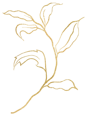 Yapraklı el çizimi dal, altın çizgiler, izole bir illüstrasyon. Yaz düğün kırtasiyesi ve tebrik kartları için bahçe yeşilliği unsuru, web sitesi tasarımı