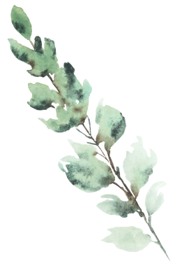 Açık yeşil bahçe yapraklı el yapımı suluboya dal. Bahar düğünü kırtasiyesi ve parti tasarımı için romantik pastel unsur. Aşk ve kutlama atmosferi 