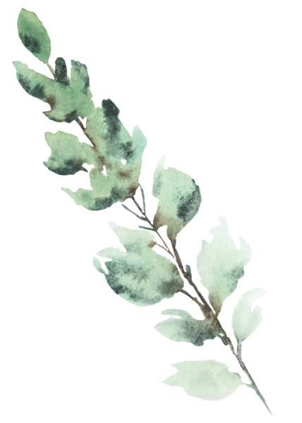 Açık yeşil bahçe yapraklı el yapımı suluboya dal. Bahar düğünü kırtasiyesi ve parti tasarımı için romantik pastel unsur. Aşk ve kutlama atmosferi 