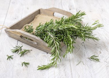 Beyaz kırsal masada bej tepside taze yeşil biberiye filizleri. Et ve balık için otlar. Akdeniz mutfağı konsepti